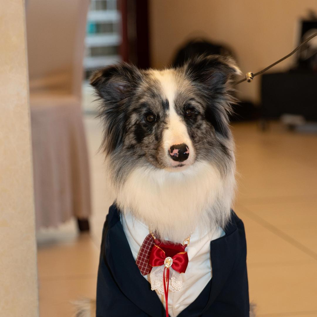 希望红旗满天下