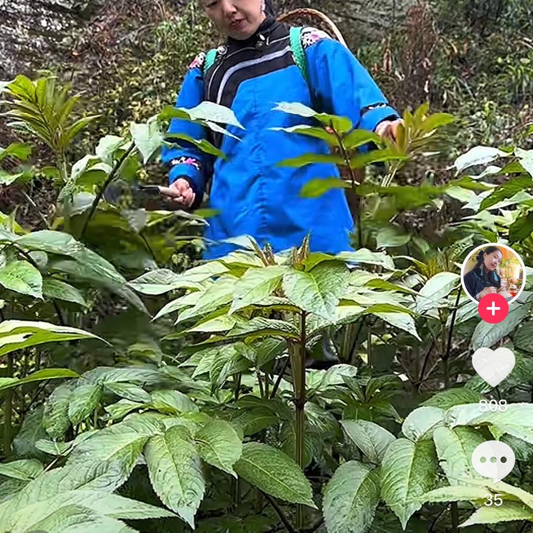 土秘方黔西3
