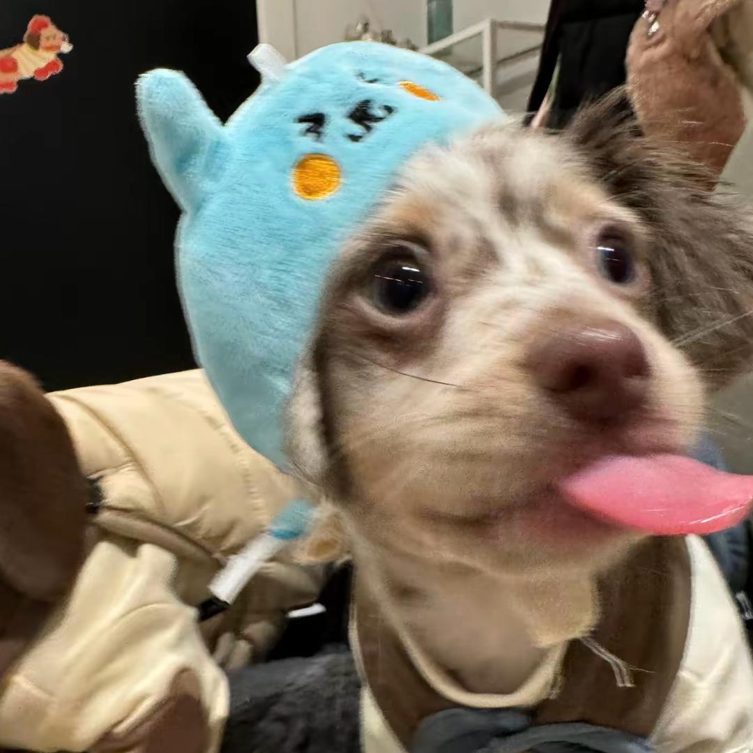 当s低温蜡用完后偷用热熔胶被m告到派出所