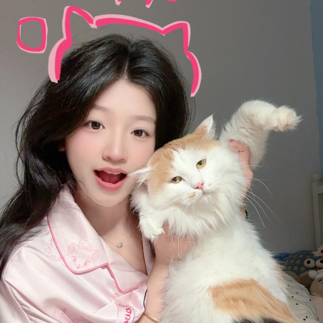 猫咪打盹中