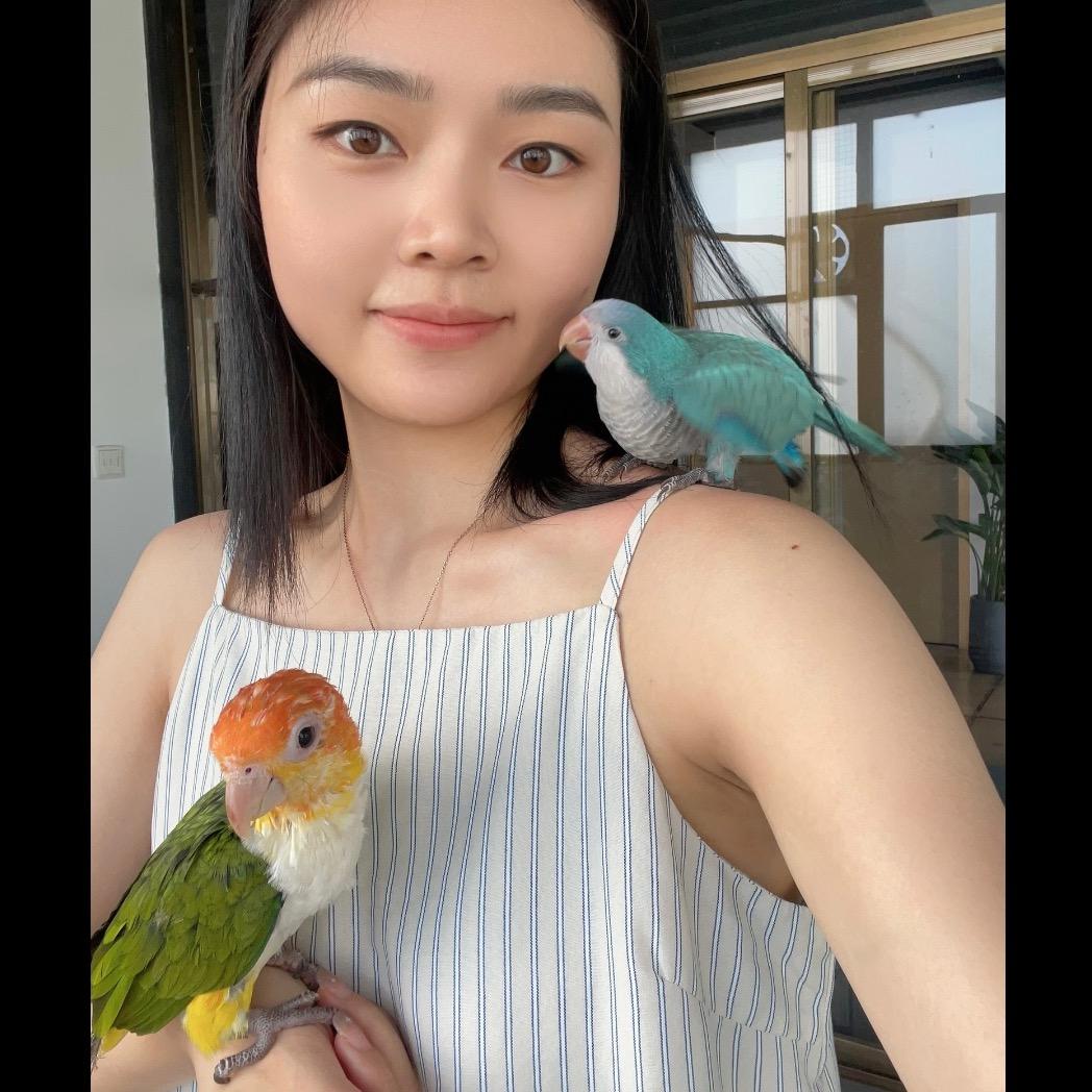 小白鹦鹦