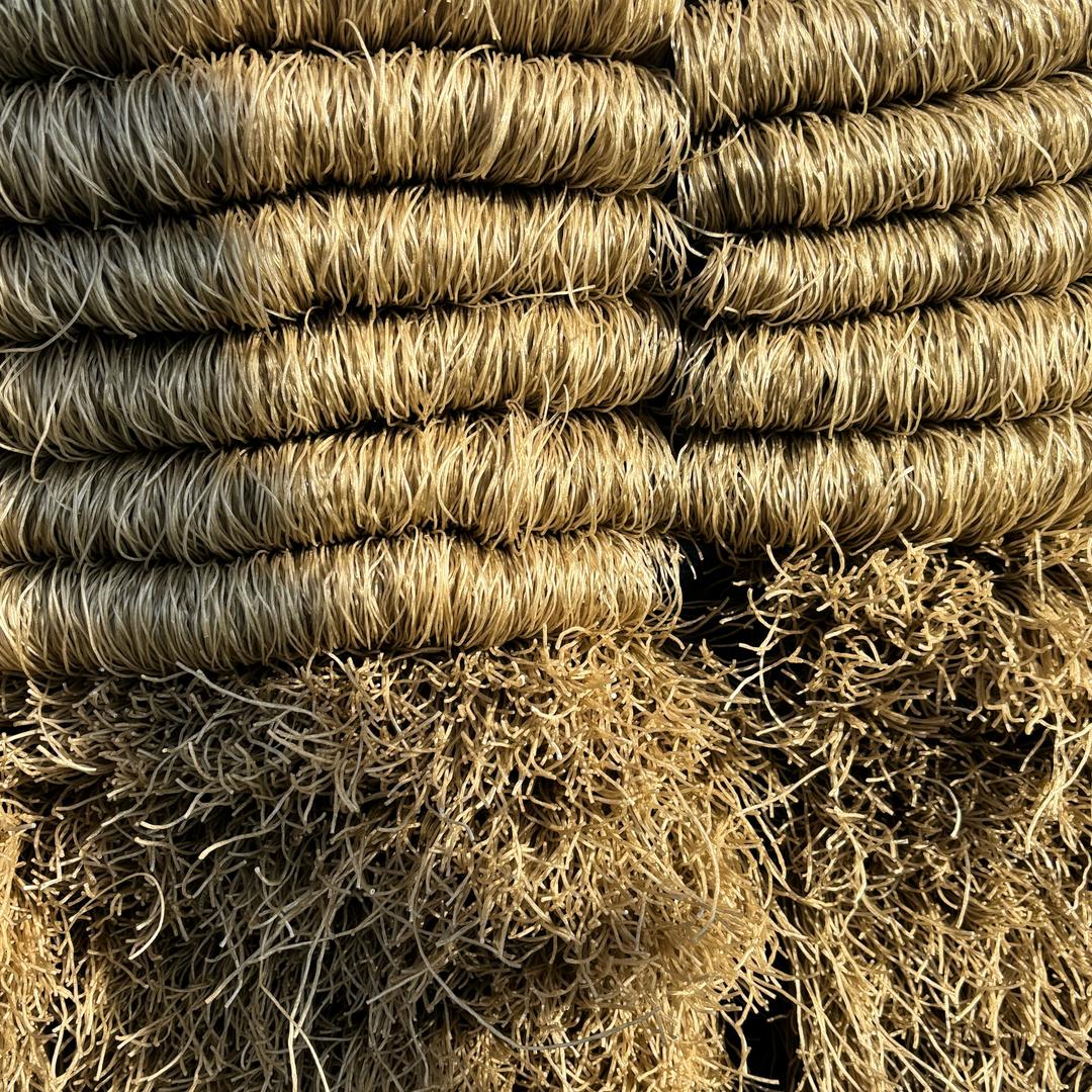 临海洞桥红薯粉丝店的头像