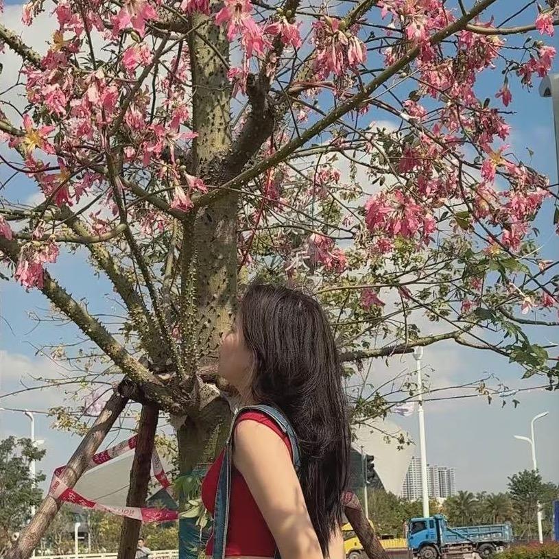 春梅