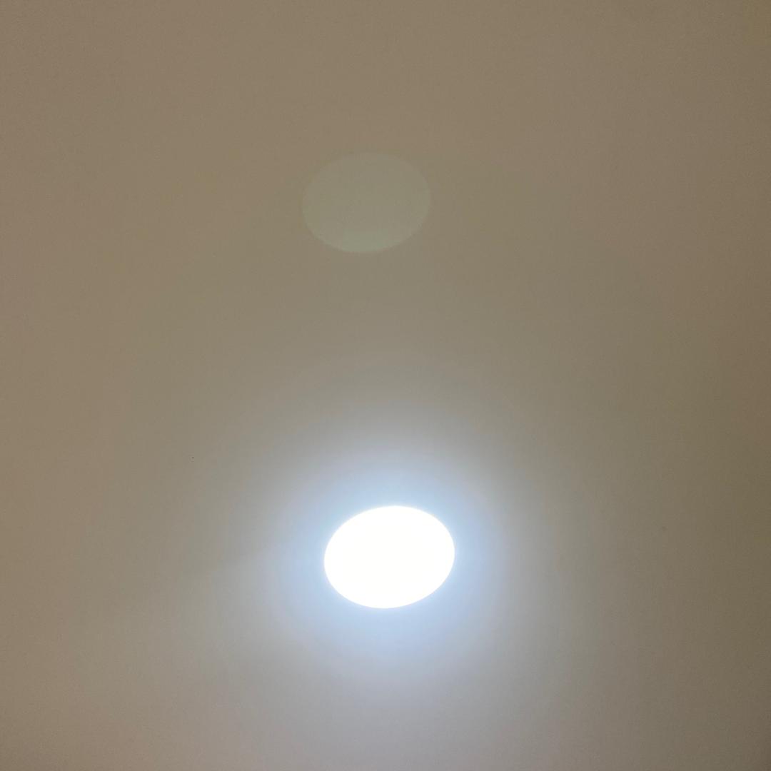 揭蒂