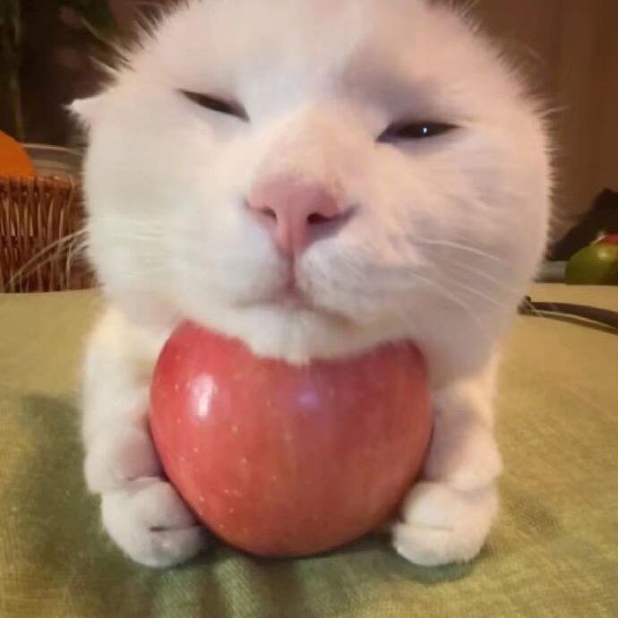 玉米须