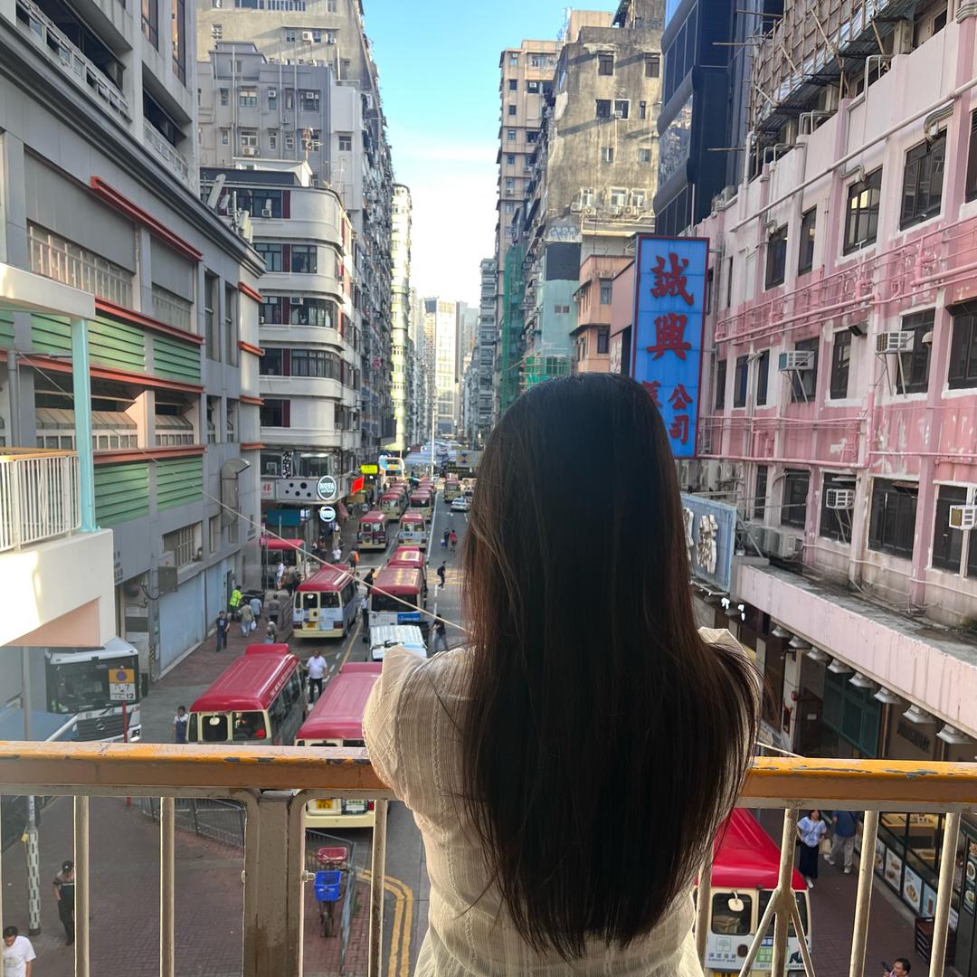 玲子🕊