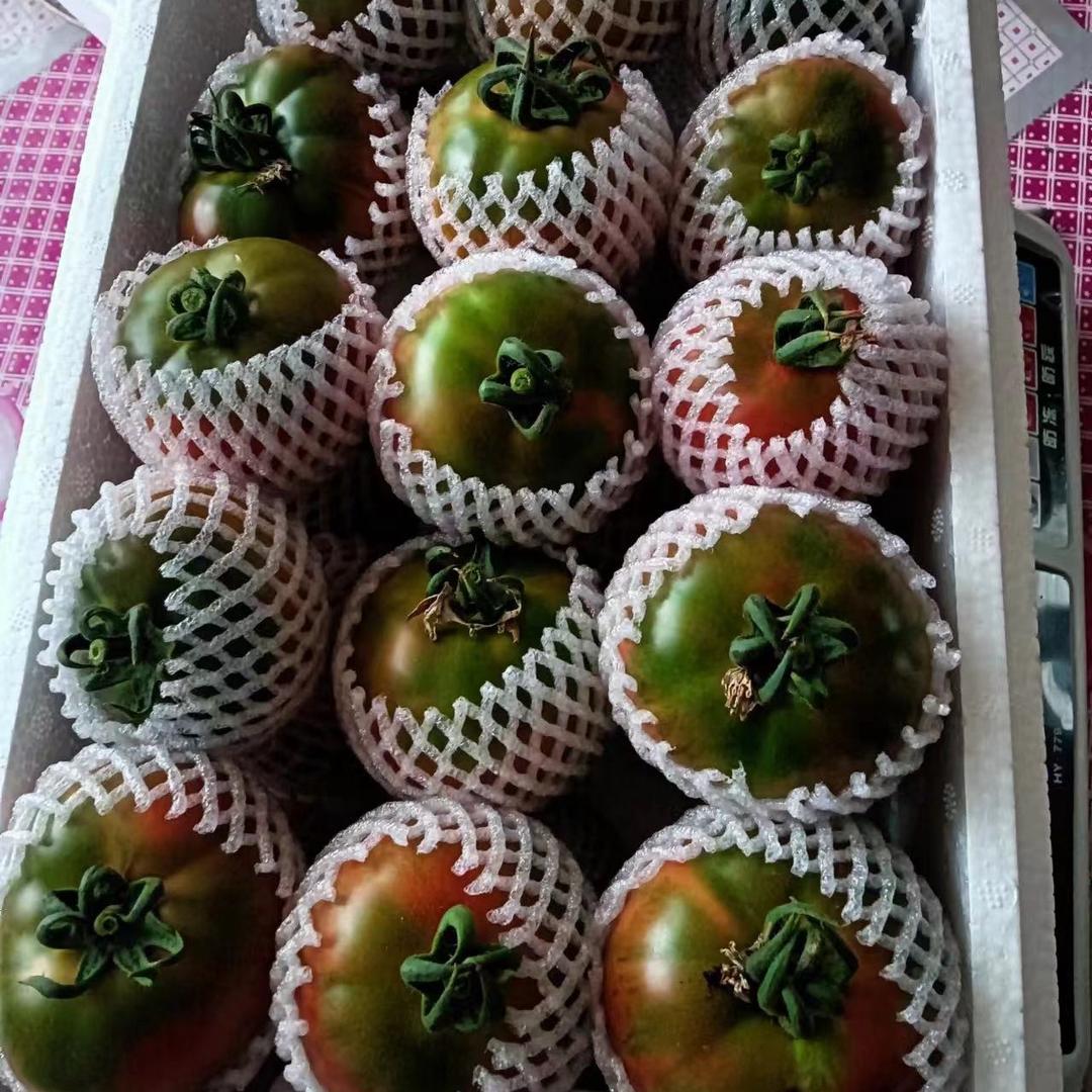 盘锦大凯盐碱地西红柿