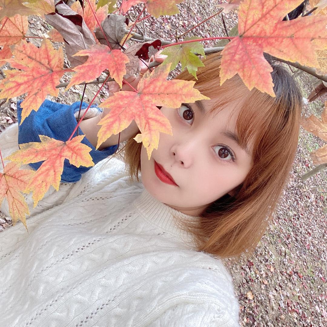 秦&有独钟