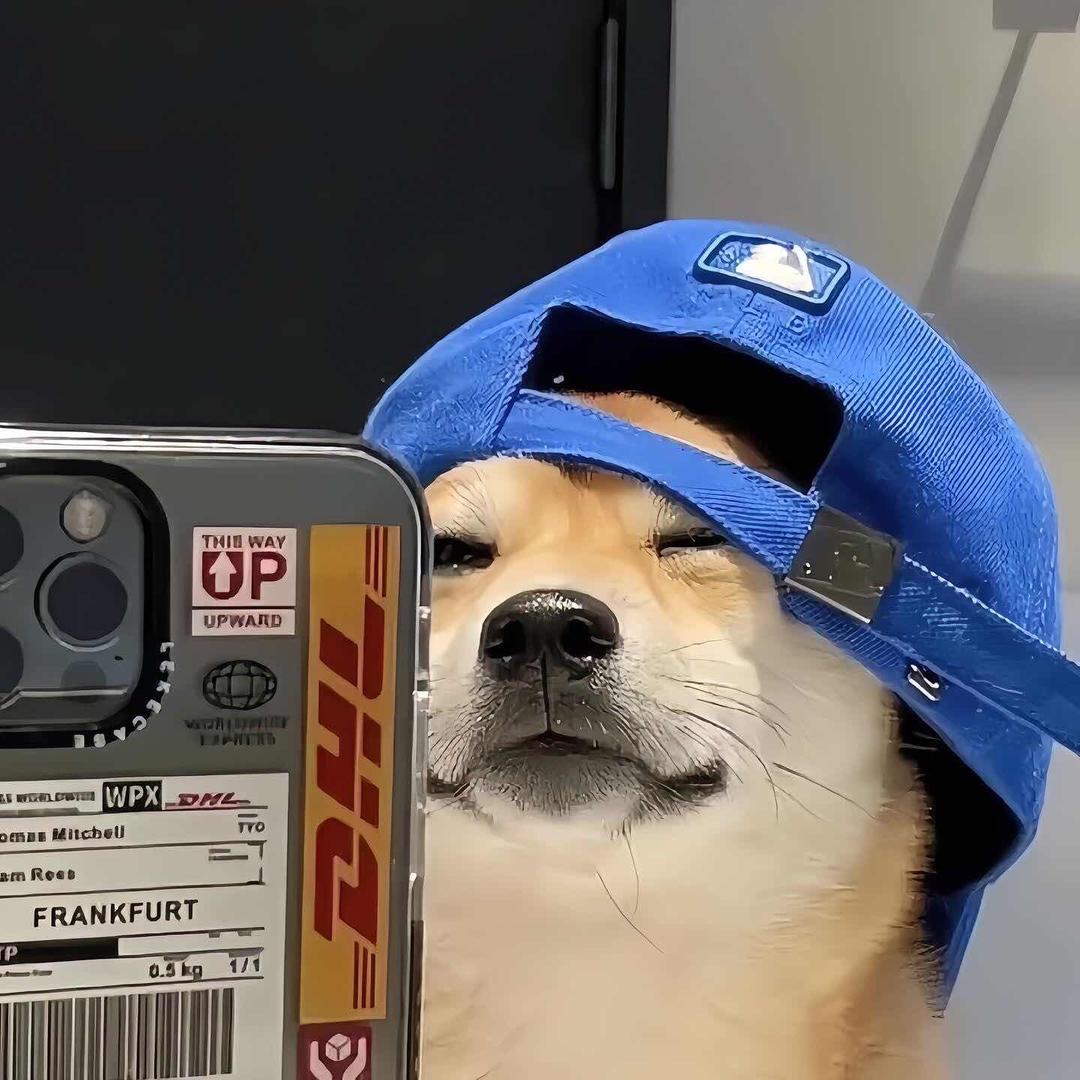 遇见小鹤