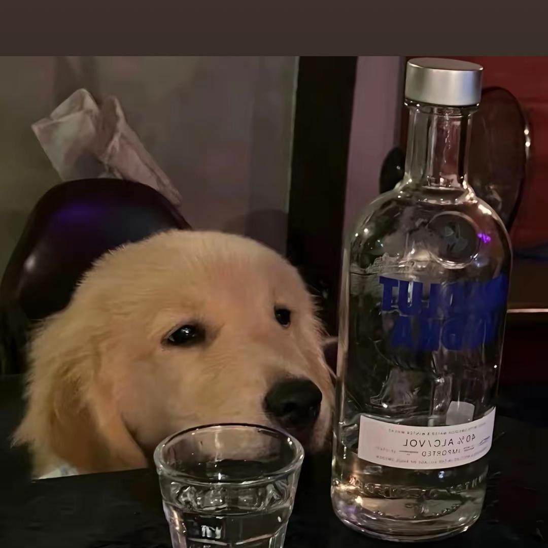 糊涂涂