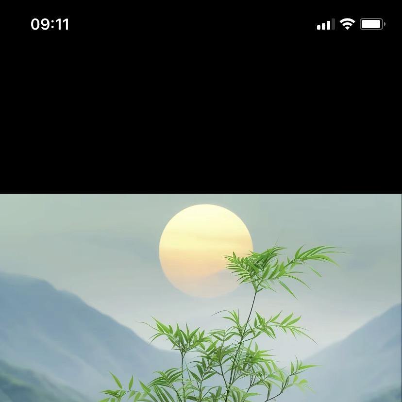 众诺珠宝玉石云天