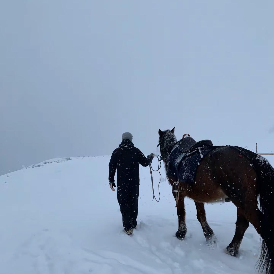 风吹雪