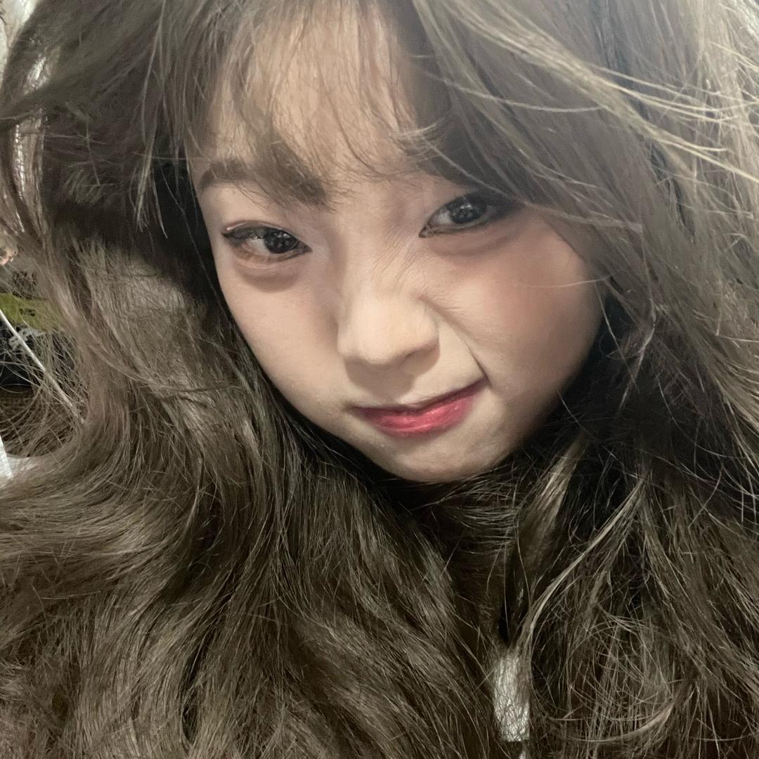 一只蚂蚁上青天🐜