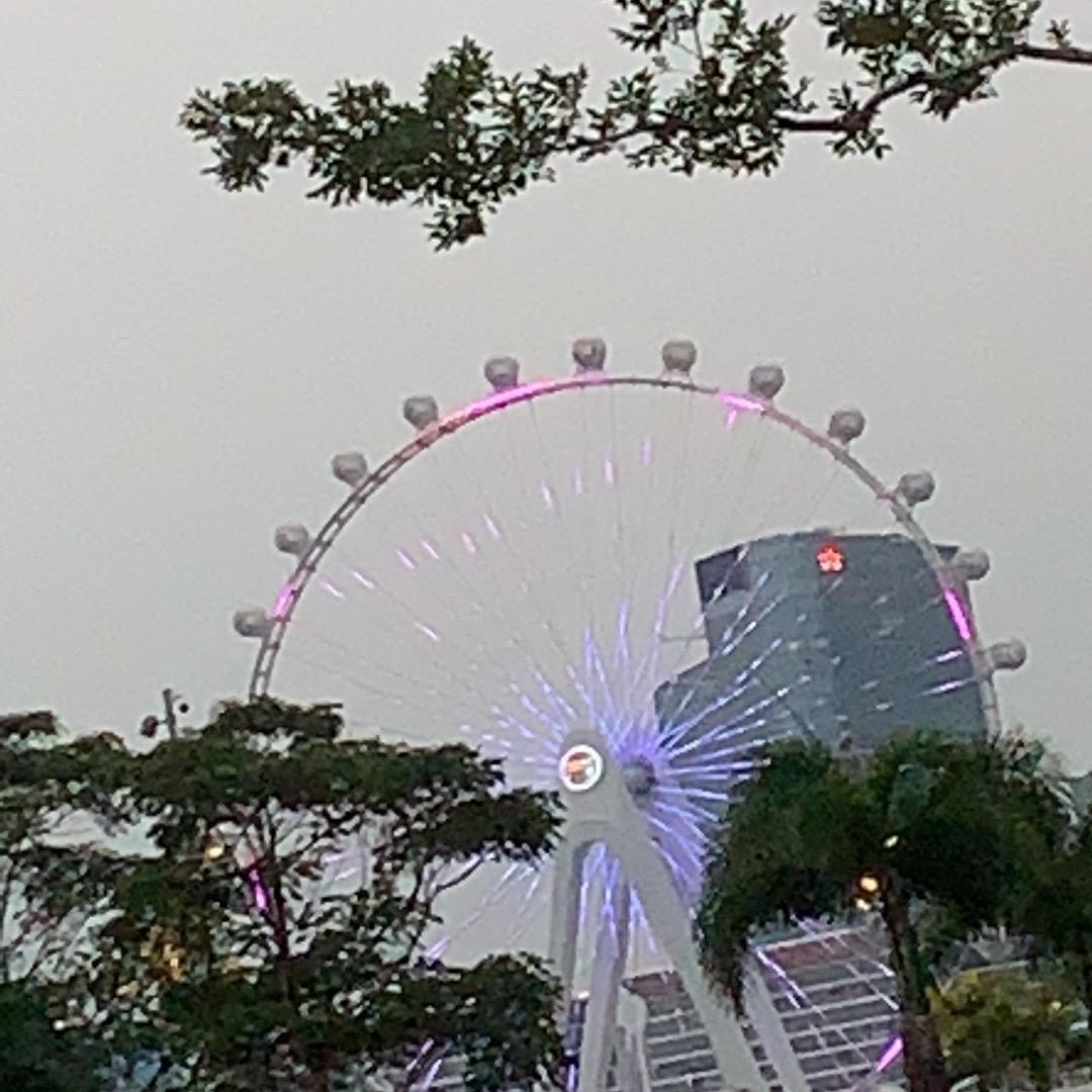 发展生存