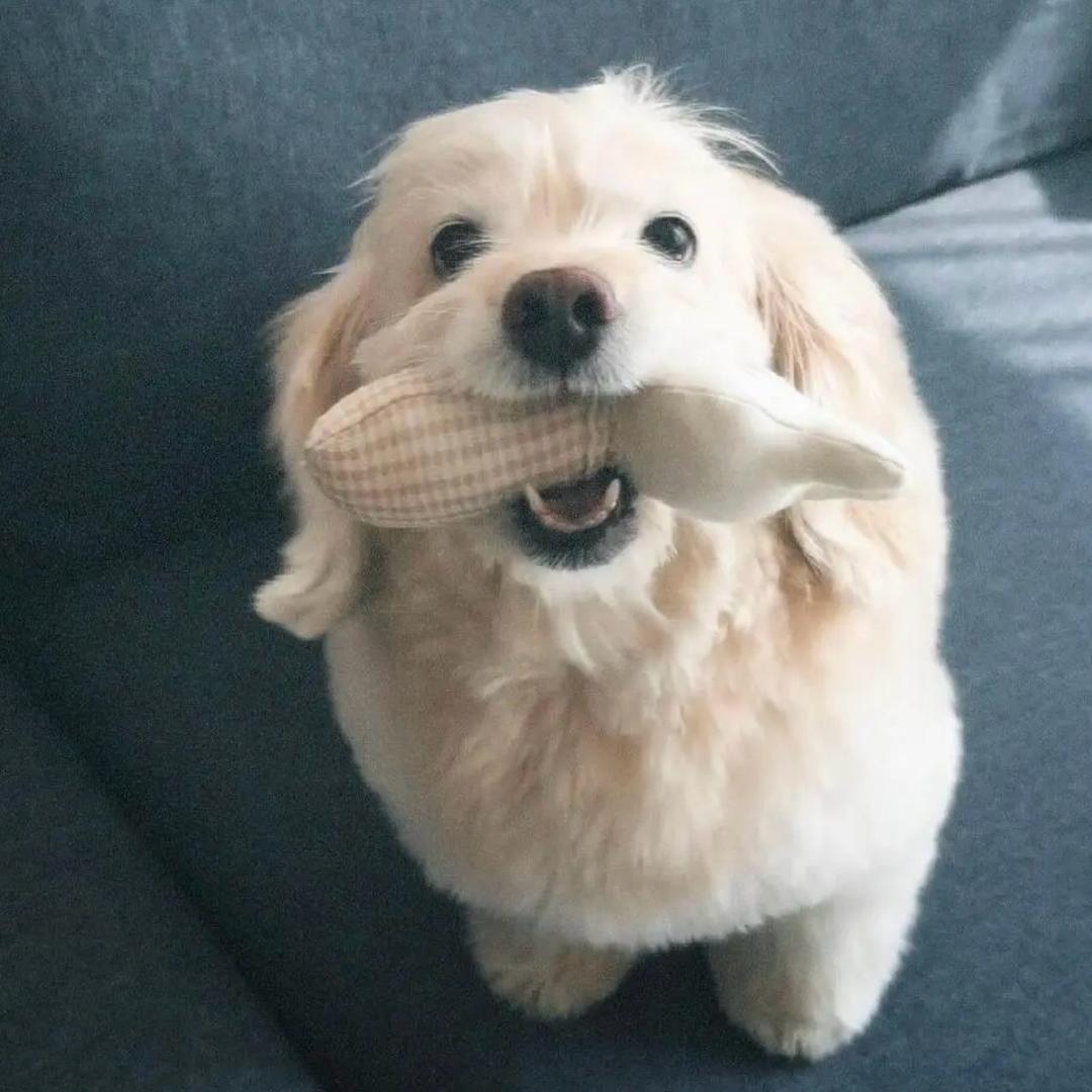 炉噜噜🪨