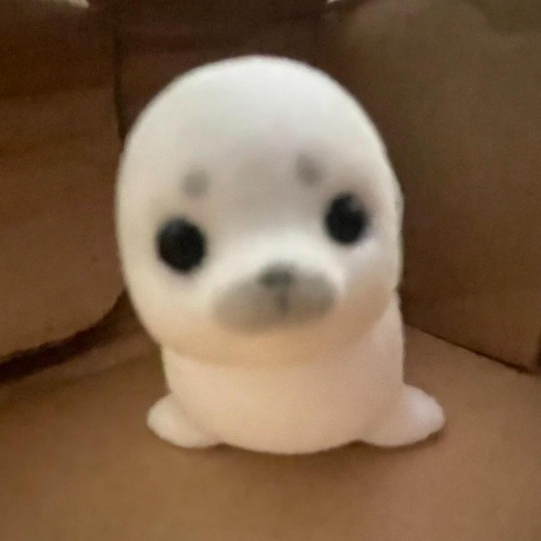 爱冒险的考拉🐨