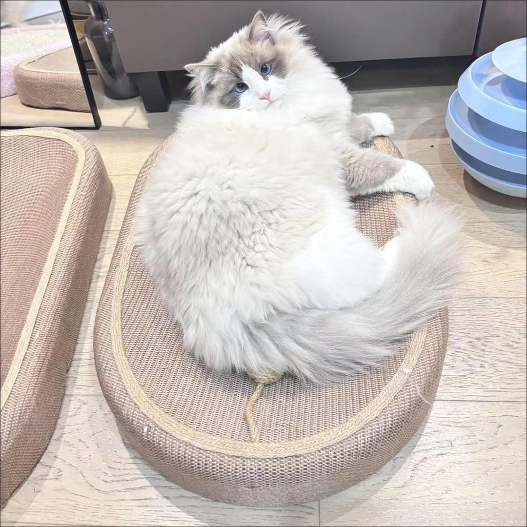 安安猫抓板工厂店
