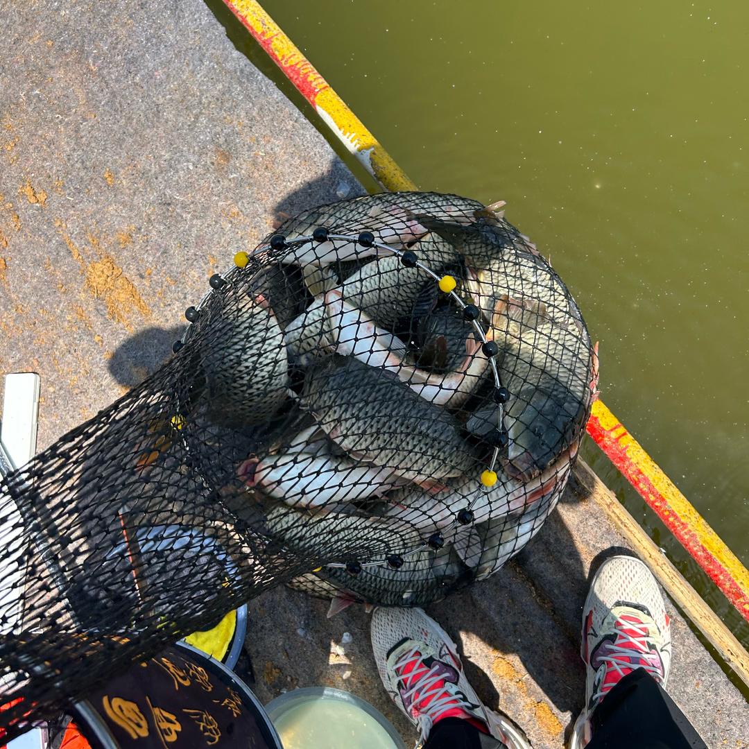 小林的黑坑被盘日记