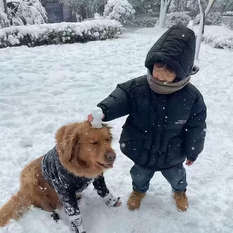 ㅤㅤ  ￰  ㅤㅤㅤ