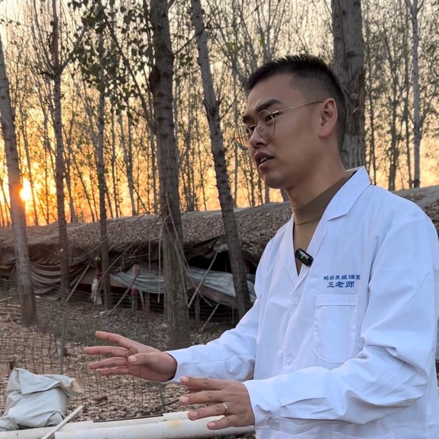 大宏 晓雨聊养鹅