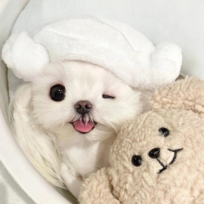 粥粥不喝粥🍓