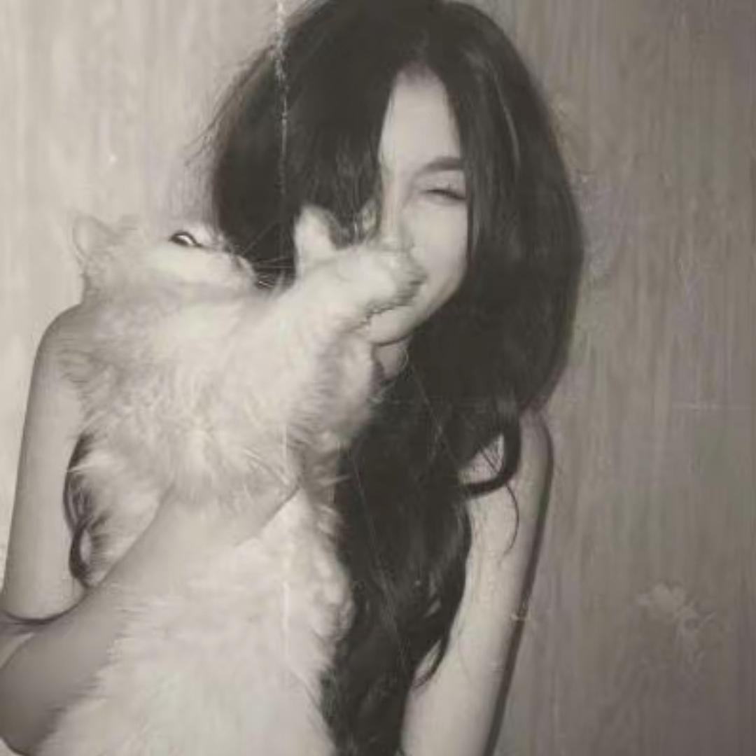 早点睡Y.
