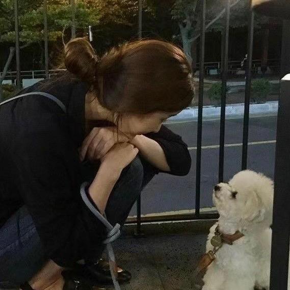 萌萌汤姆
