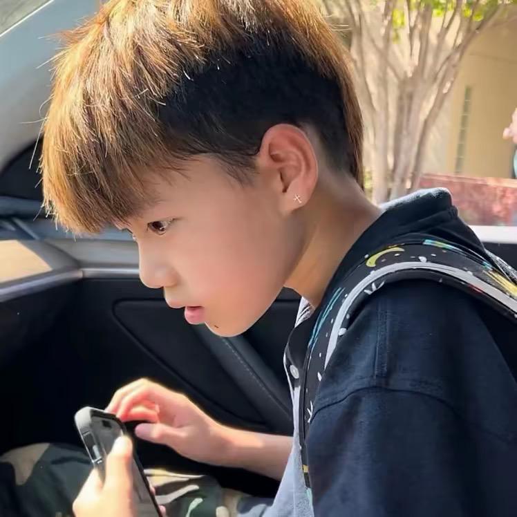 A杨