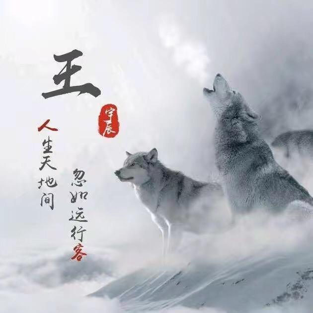 欣象棋