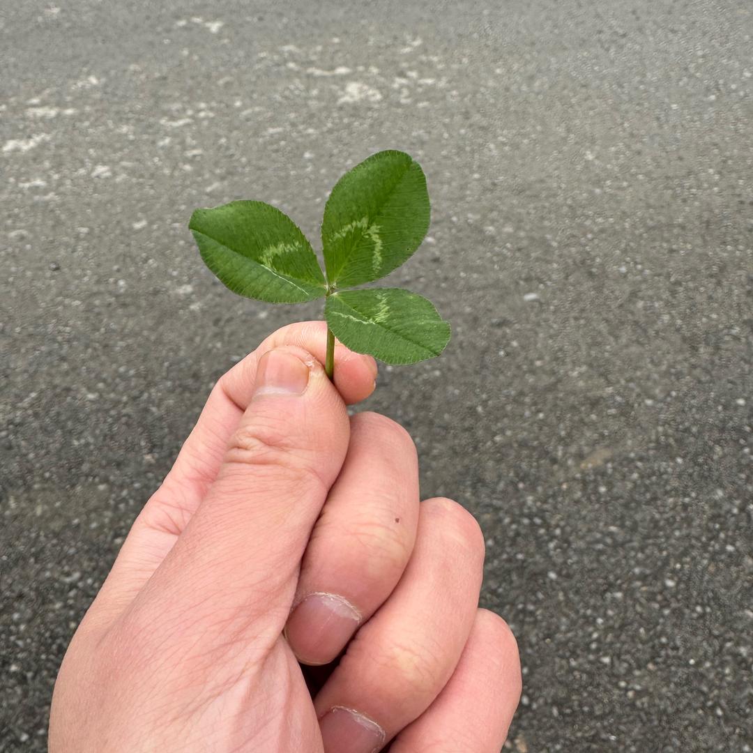 包里只有三分钱