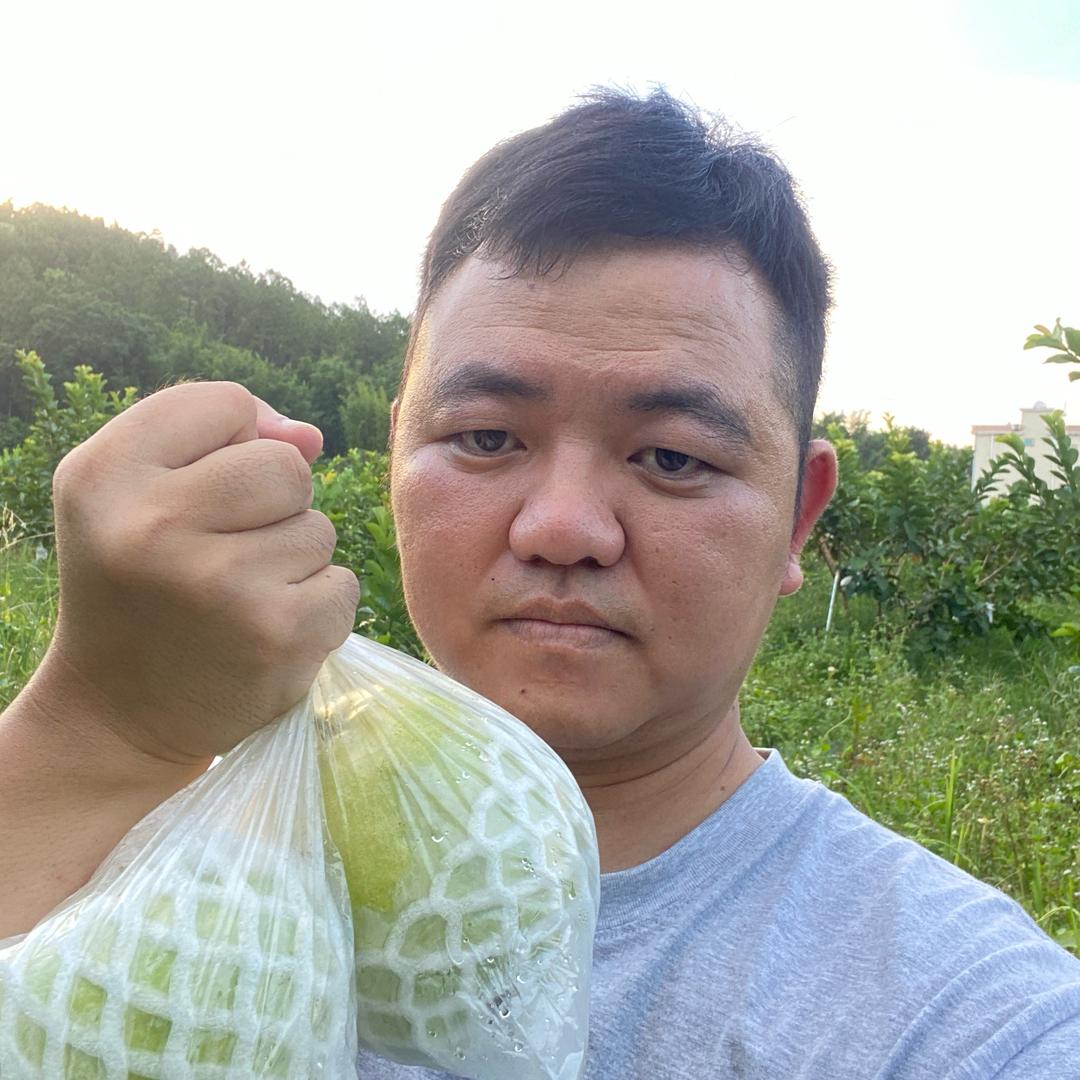 爱吃果蔬的小韦