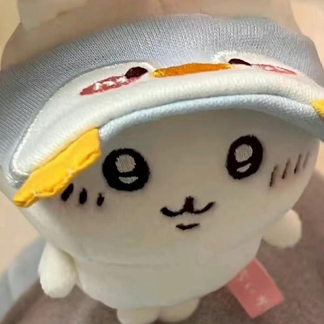 O泡