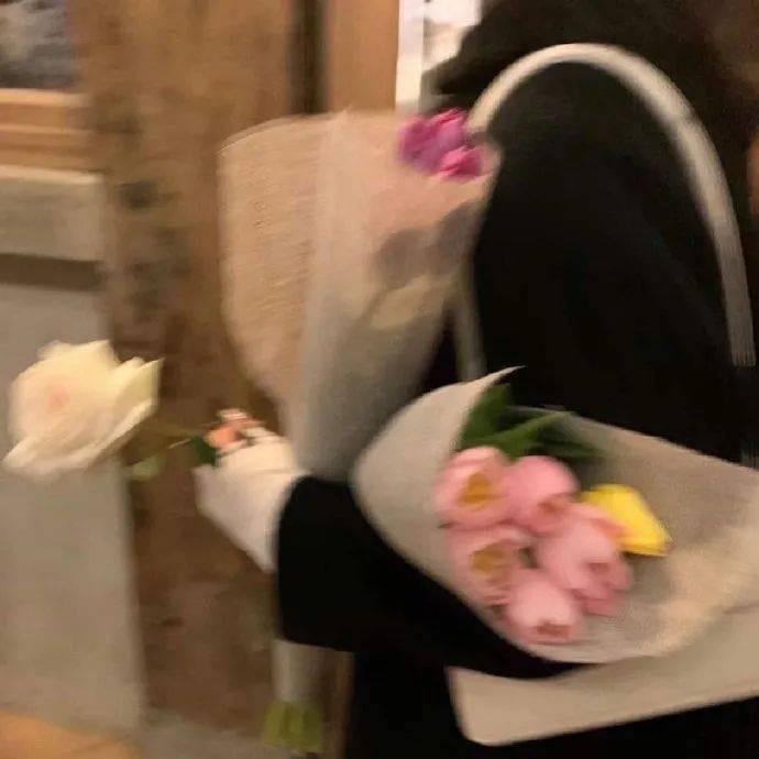 亿善专营店茂宠