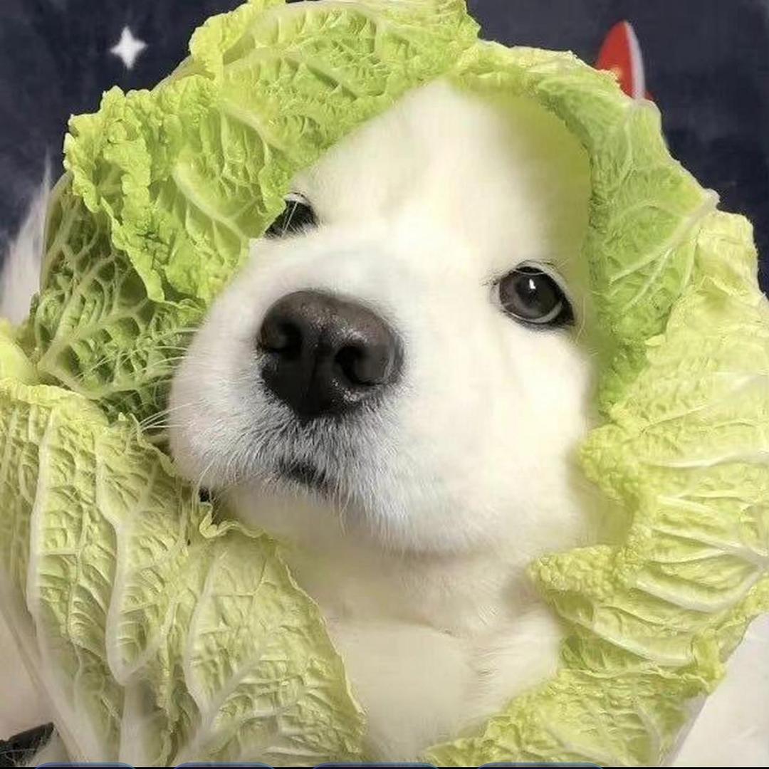 玛莉莲樱桃小丸子