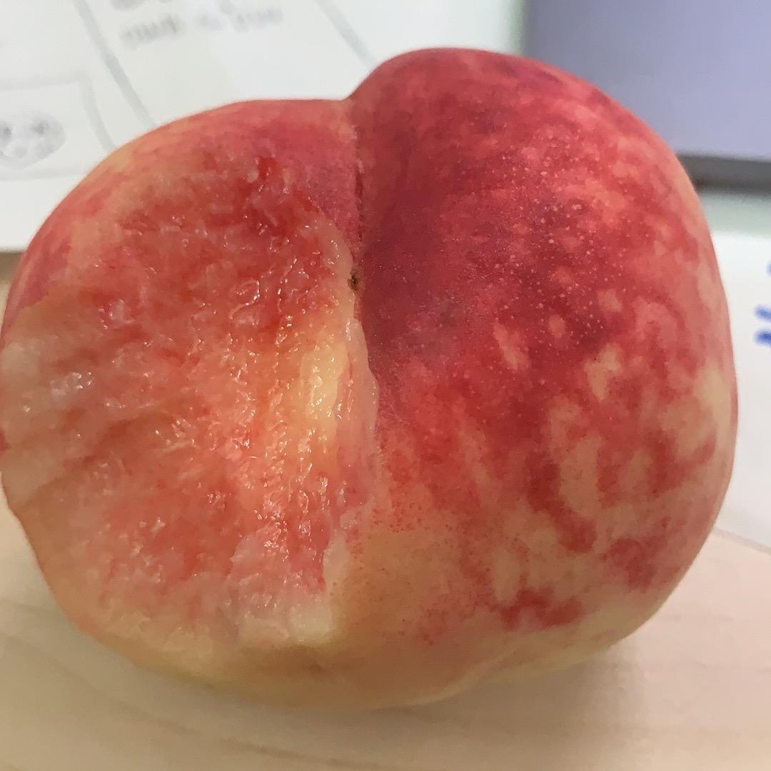 蛋挞蛋挞挞