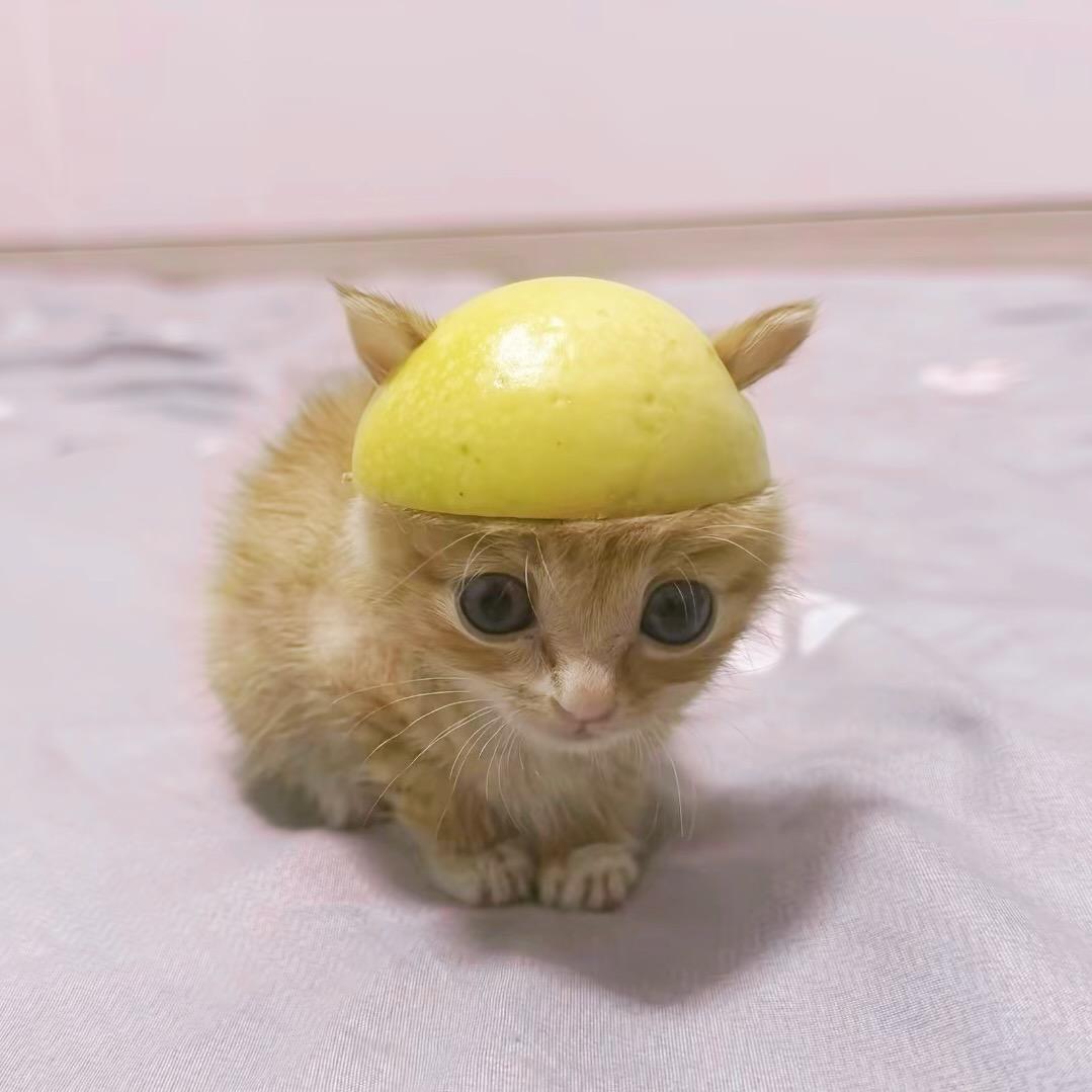 王百天儿.
