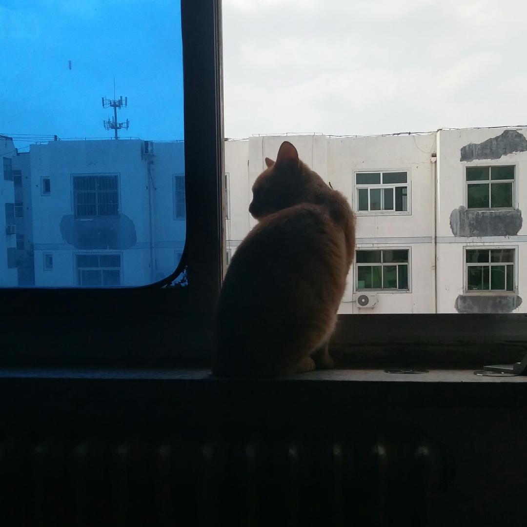 什么呀
