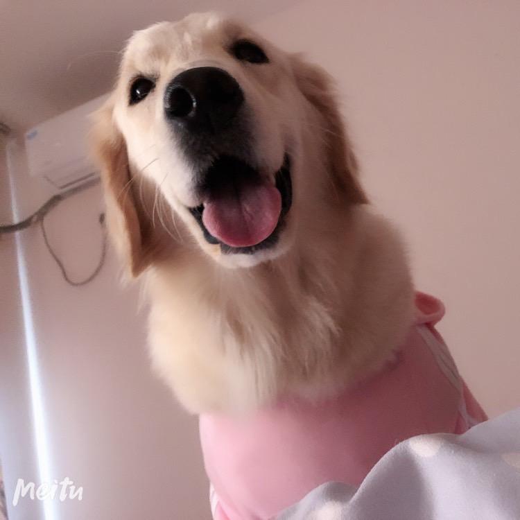 🌈小柴同学