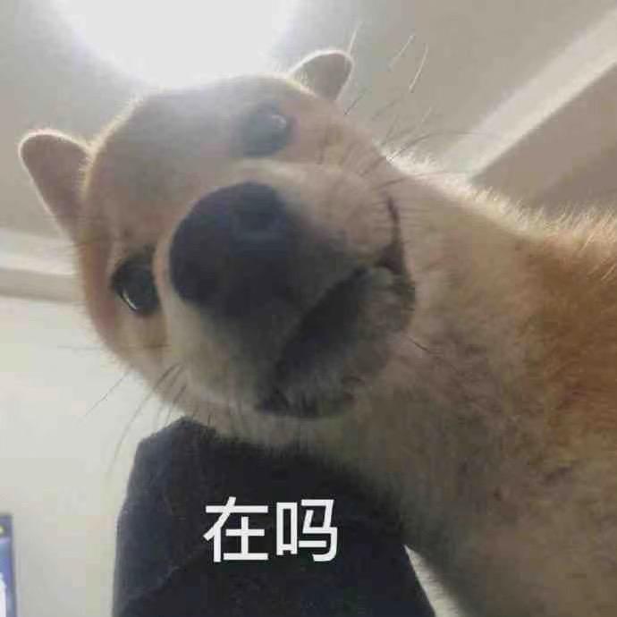 猪肉炖粉条