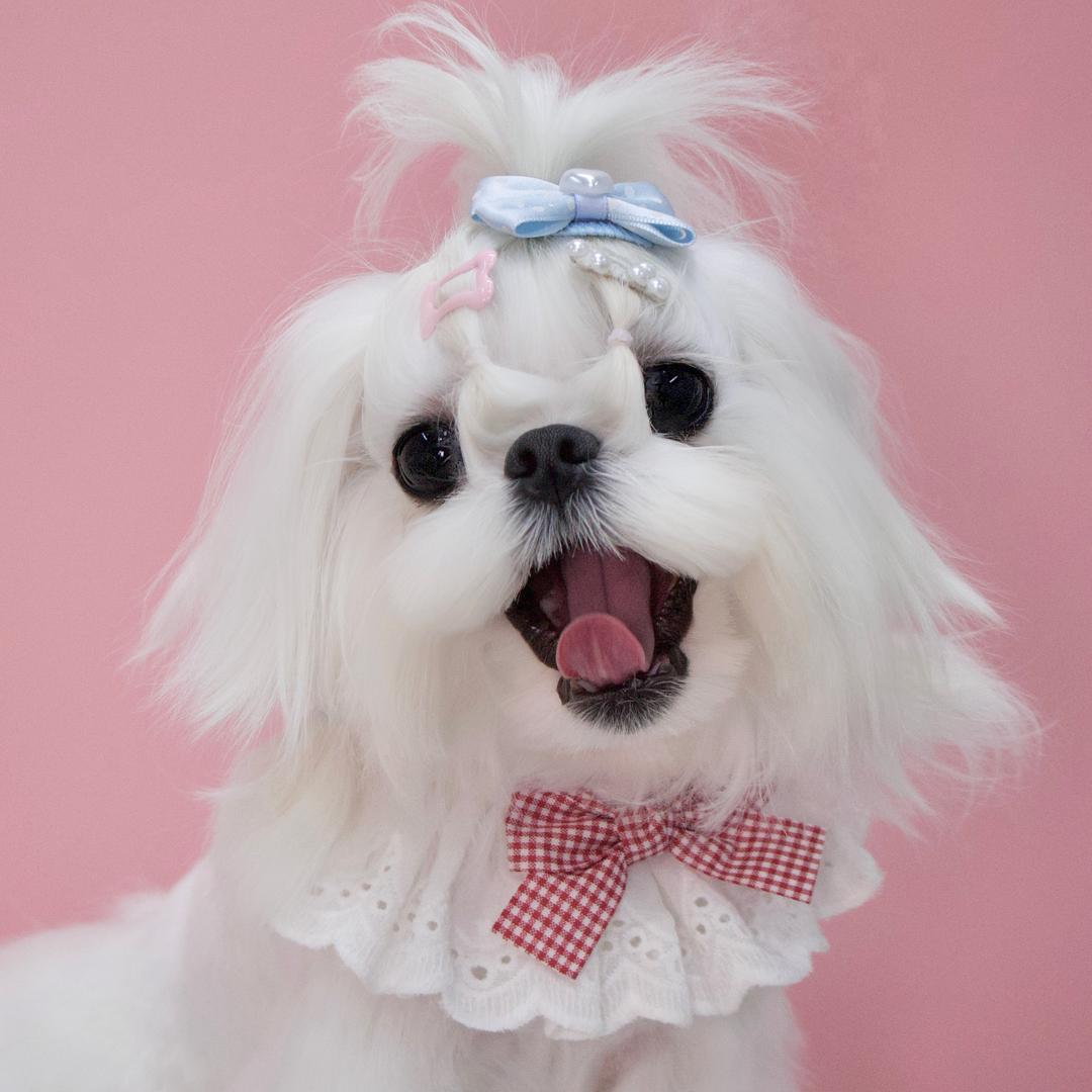 pinky