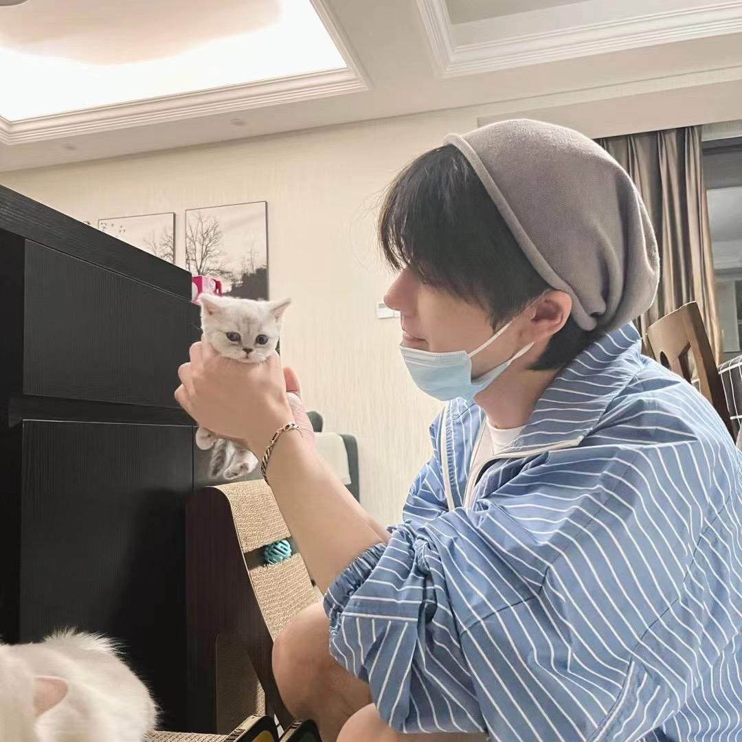 岚大大🎹