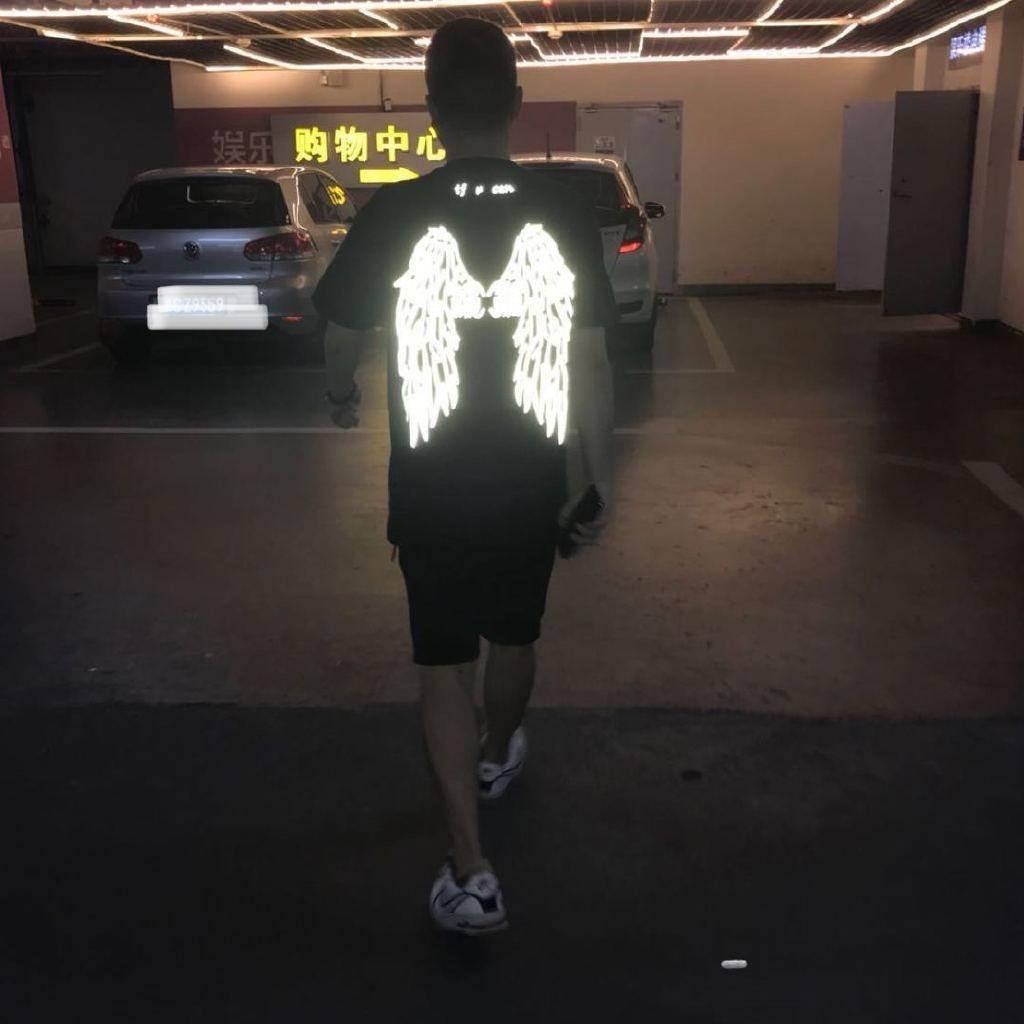 傲然挺立的傅大总头像