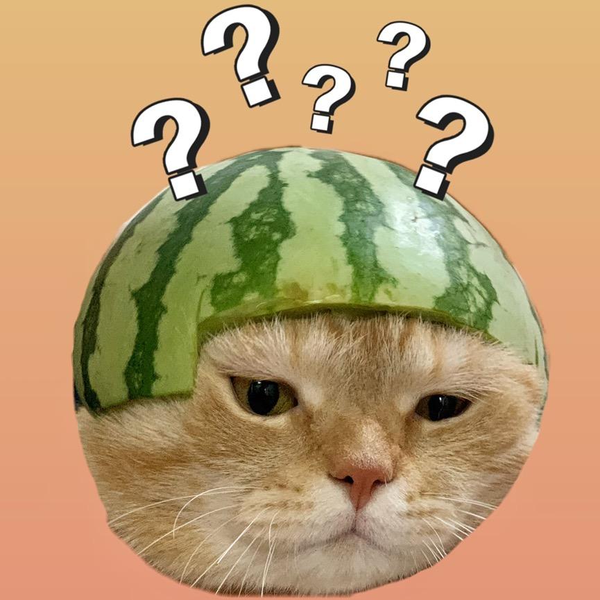 奶香小财宝