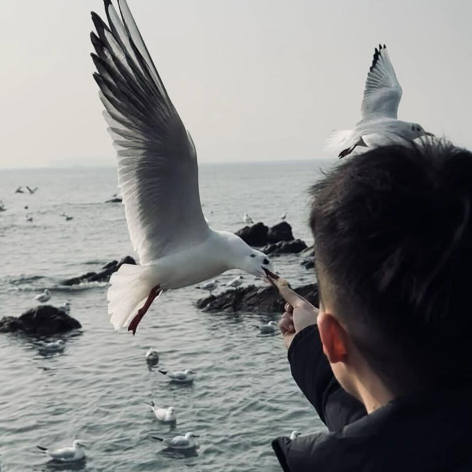在海的那一边