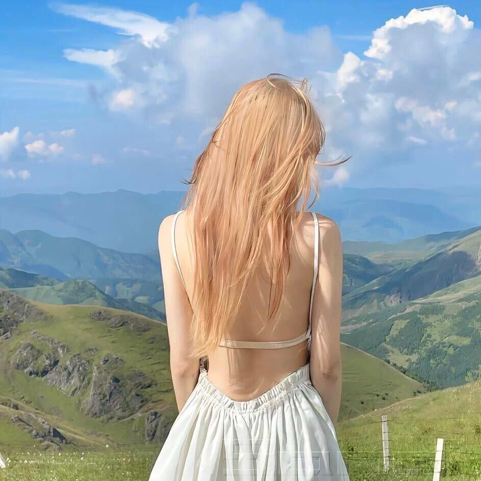 山茶花