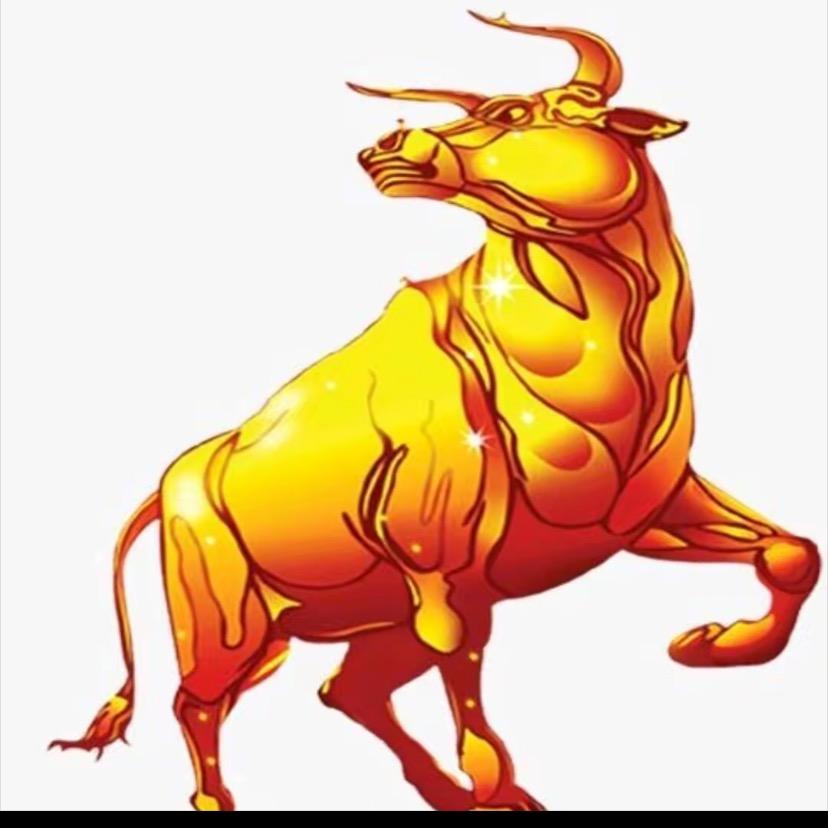 辉哥（拉萨集结）