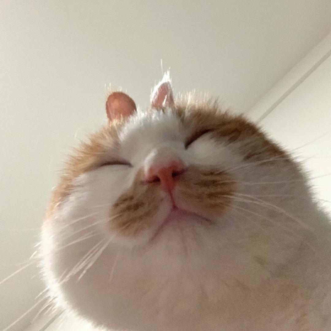 芒果冰