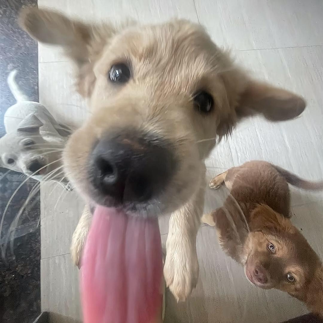 我是小心眼