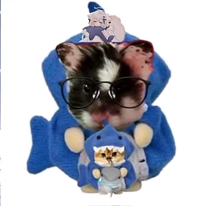 º⁰江辞₍˄..˄₎୭º⁰