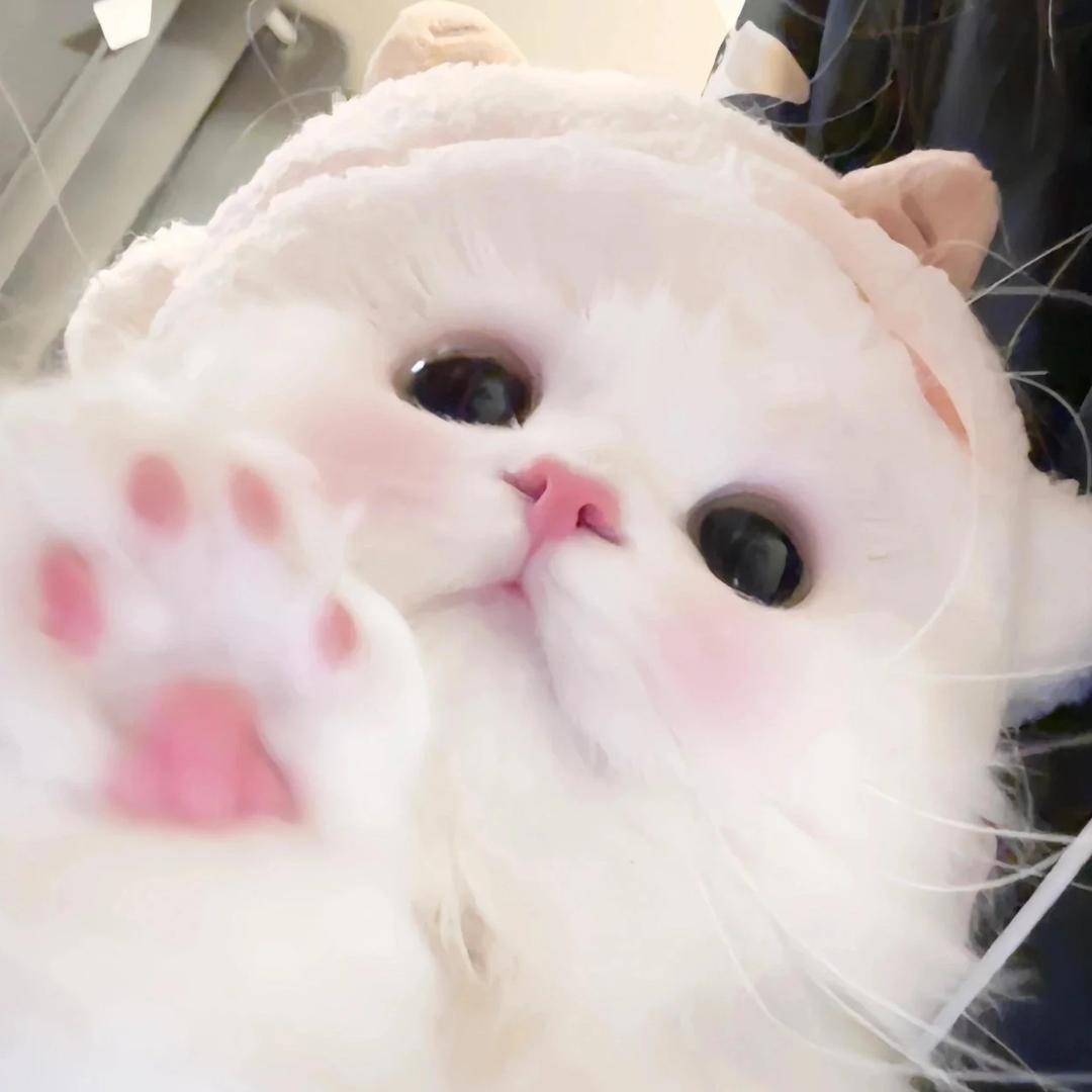 烦得很